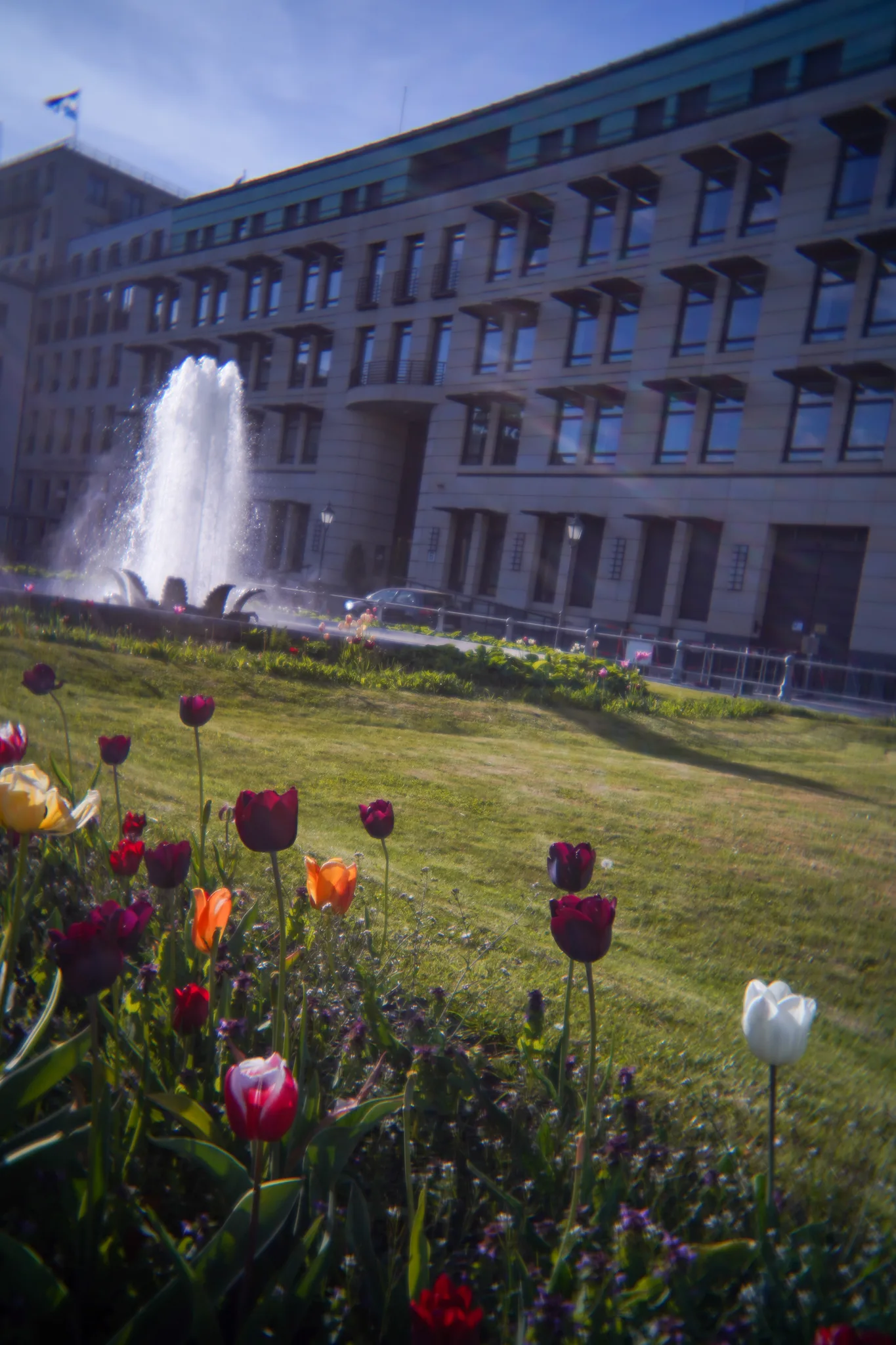 Red, orange and white tulips in front of a fountain and a large stone office building